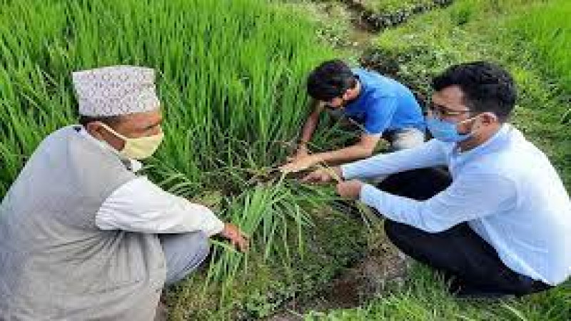 कृषिमा अनुदान नभइ प्रोत्साहनको नीति लिन्छौः अर्थमन्त्री, बिनाधितो ५० लाख ऋणको व्यवस्था गर्न सुझाव