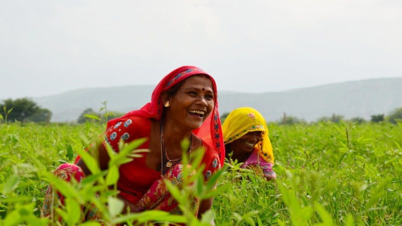 ३२ प्रतिशत किसान परिवारमा महिला घरमूली