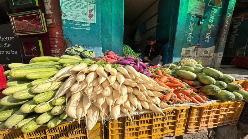 एक महीनामै रातो मुलाको मूल्य ६३ प्रतिशतले घट्यो