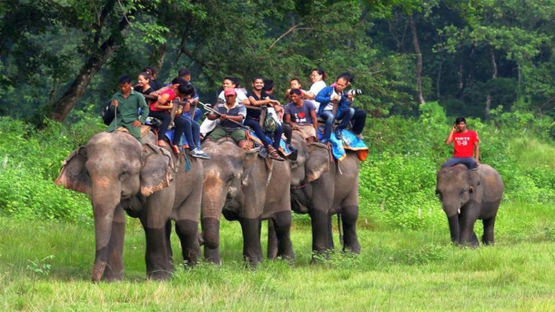 अङ्ग्रेजी नयाँ वर्ष मनाउन सौराहमा पर्यटकको घुइँचो, 'पर्यटन आगमन पूर्ववत् अवस्थामा'